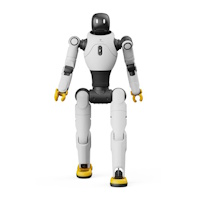 Humanoids